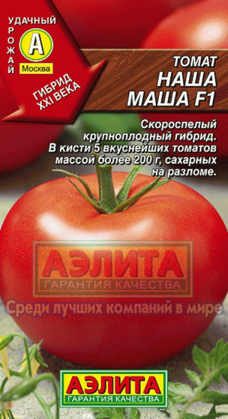 Седек томат кукла f1. Томат маша и медведь. Сорт томатов факел ф 1. Томат маша отзывы. Томат кукла маша.
