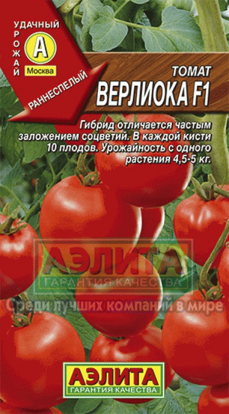Томат Верлиока Отзывы Фото Урожайность