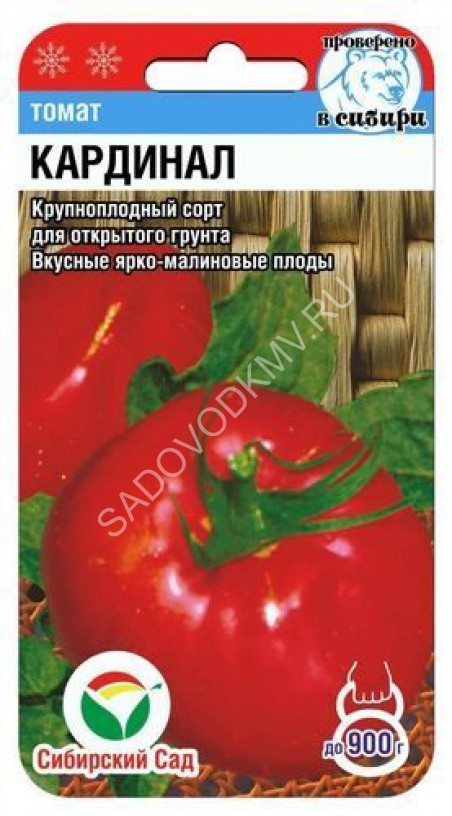 Сорт Томата Кардинал Фото