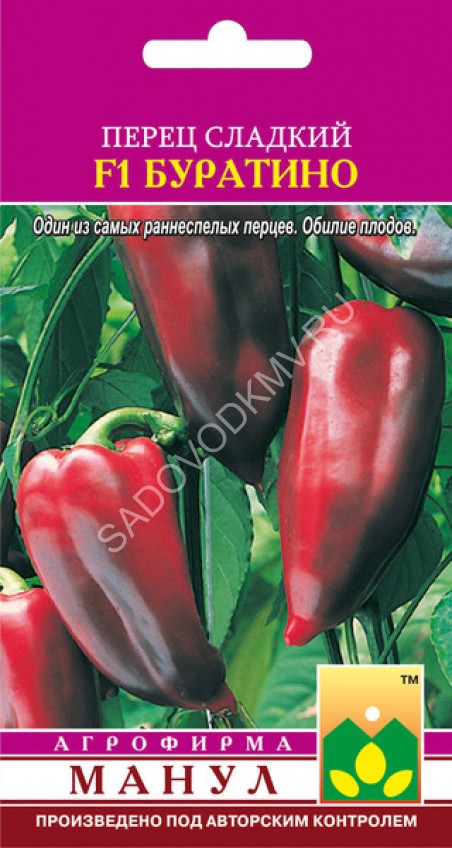 описание сорта перца буратино. описание сорта перца буратино. перец буратино. перец сладкий буратино f1 ультраскороспелый. сладкий перец сорт буратино.