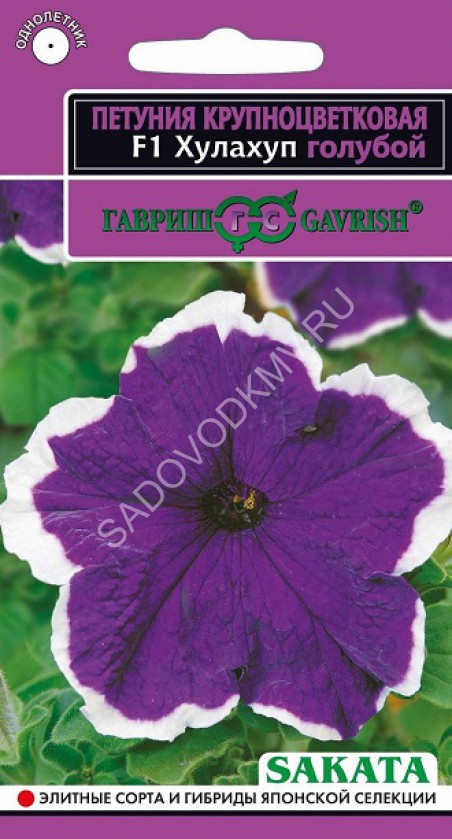 Петуния Яблоневый Цвет Купить