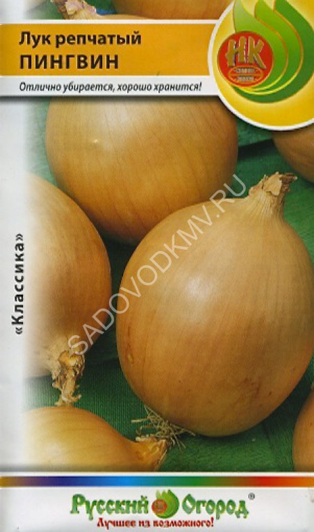 Купить Семена Лука В Краснодаре