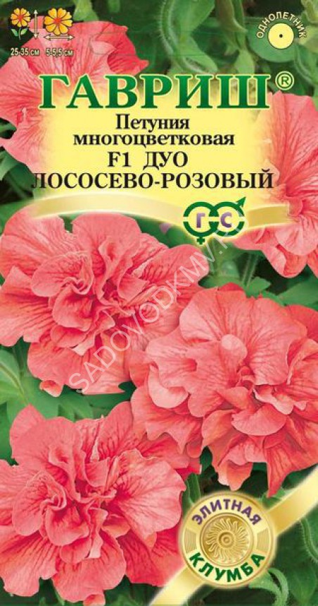 Петуния Яблоневый Цвет Купить