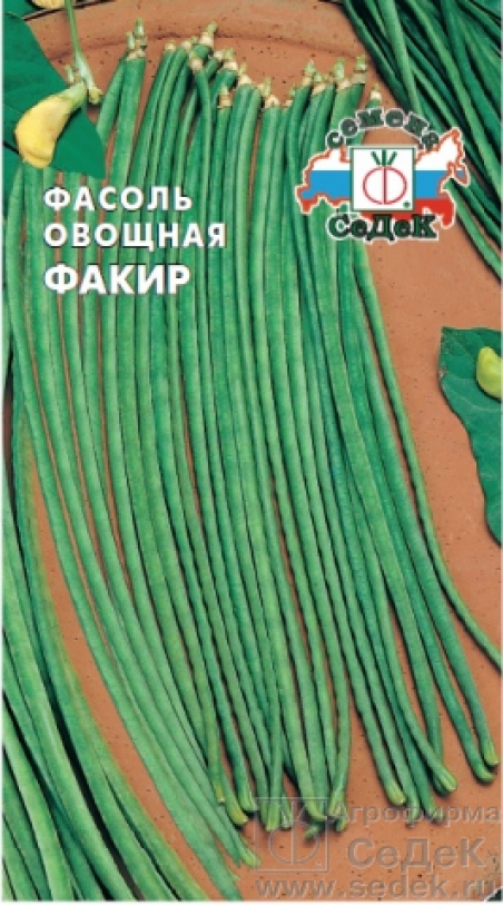 Купить Семена Вигны В Интернет Магазине