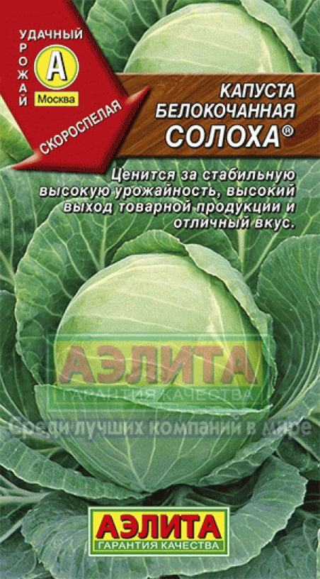 Сорт солоха. Сорт солоха. Капуста б/к слава 1305 аэлита. Людмила солоха. Солоха гоголь.