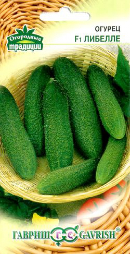 Семена Огурец Купить В Волгограде