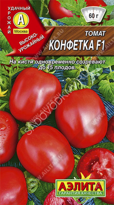 Томат Конфеты Сладкие Сосульки Фото