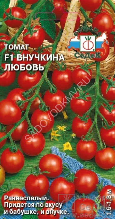 Томат Любовь Фото