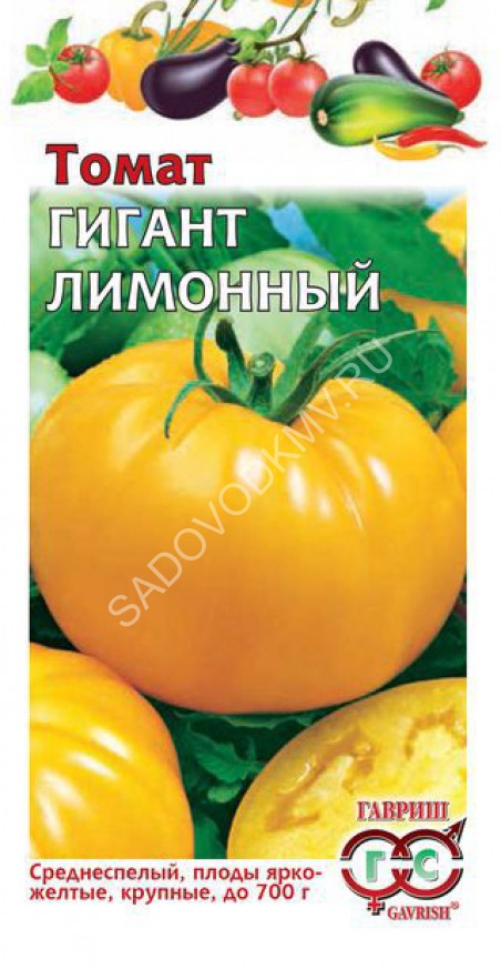 Томат Лимонный Отзывы Фото